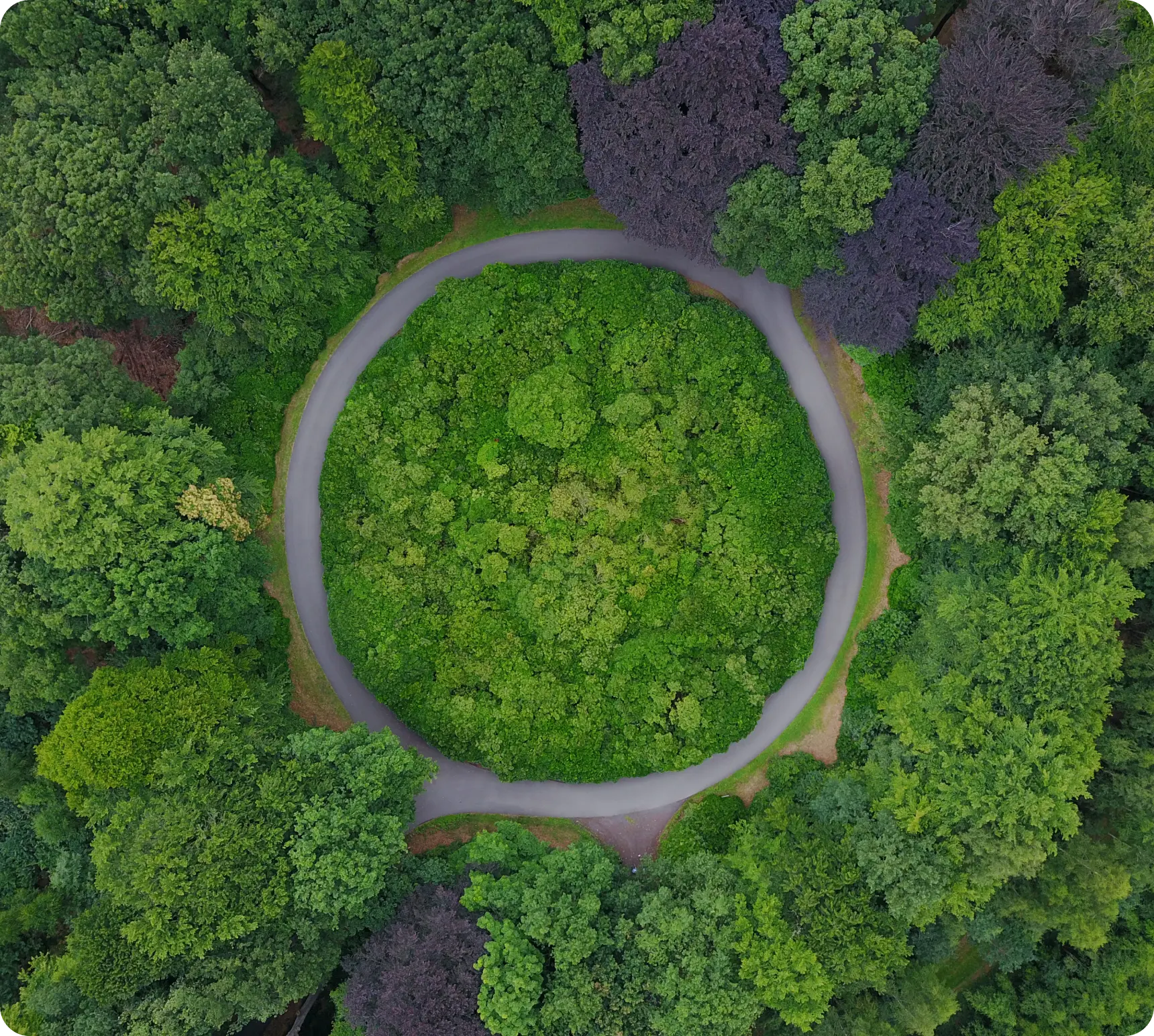 OEM/ODM & Customization