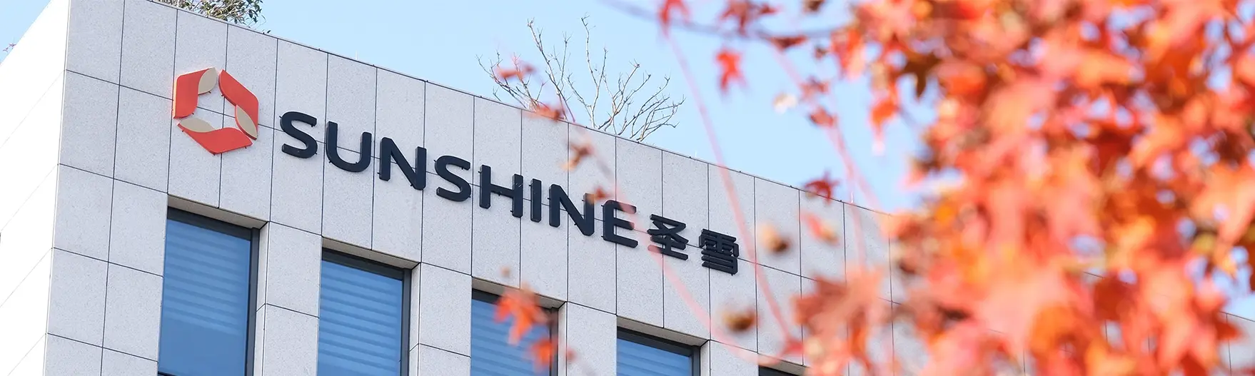 Our Mission, Vision  & Values